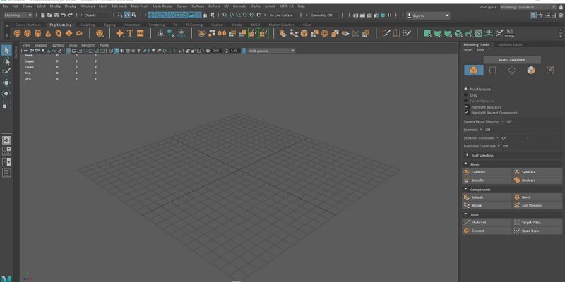 maya interface 2025